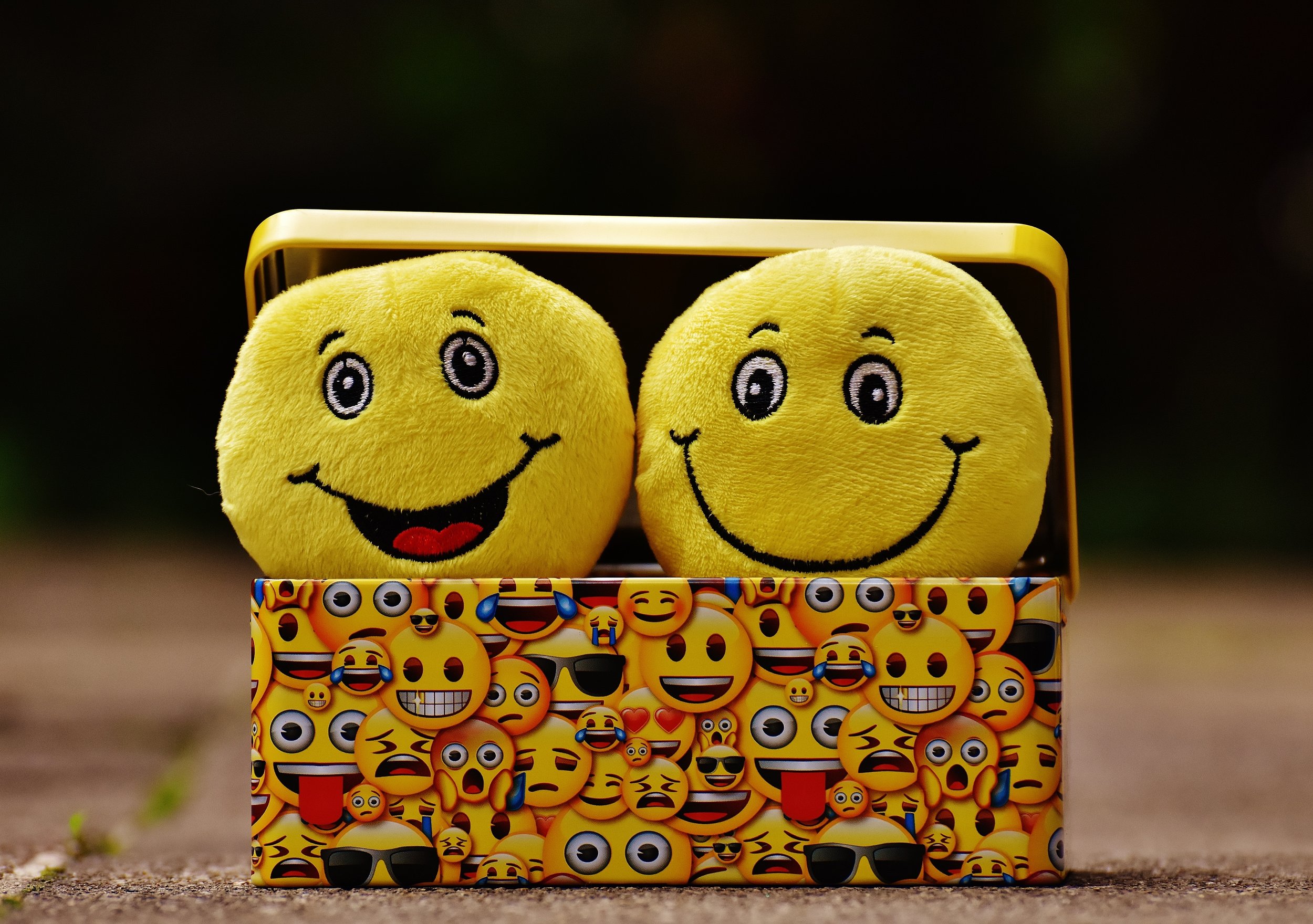 1000 Word Essay - Happiness: What is it to be Happy?